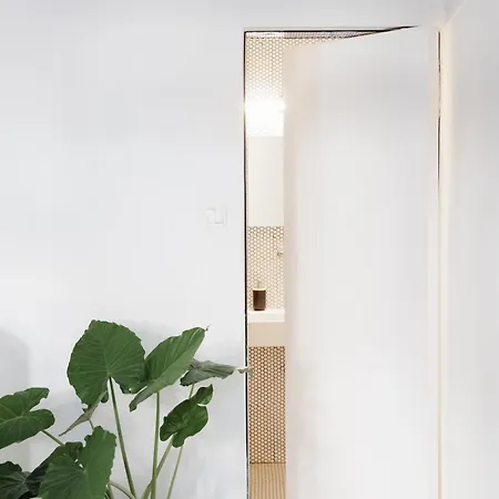 Designed In Hear Of * Budapešť